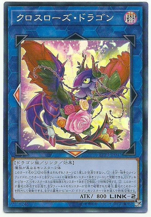 交雜薔薇龍
