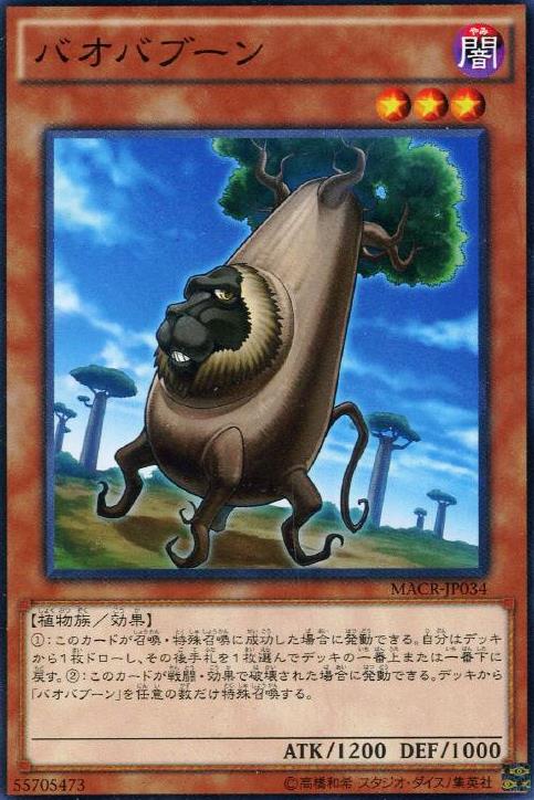 狒狒麵包樹