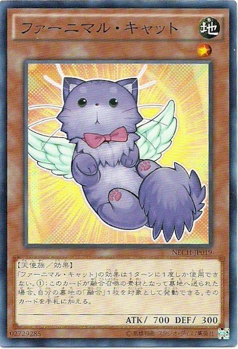 絨毛獸小貓