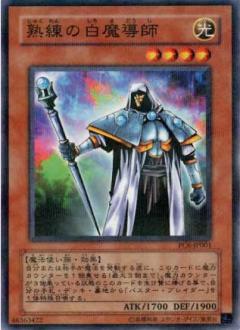 熟練的白魔導師