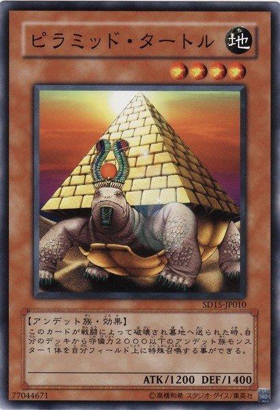 金字塔龜