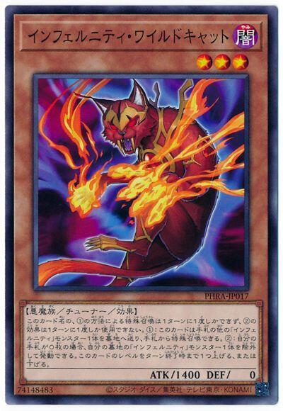 無限地獄野貓