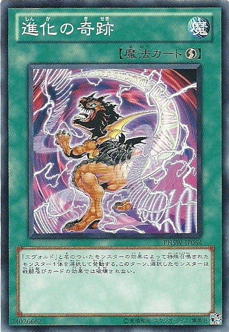進化的奇蹟