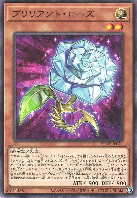 明亮薔薇