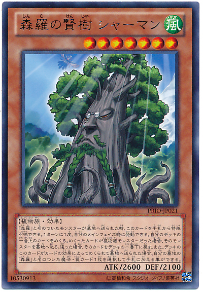 森羅的賢樹巨杉