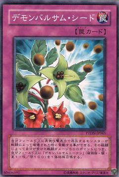 魔鳳仙種子