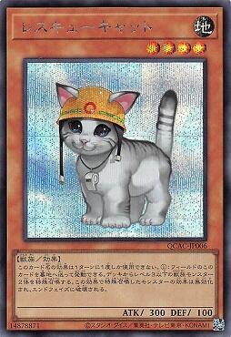 救援貓
