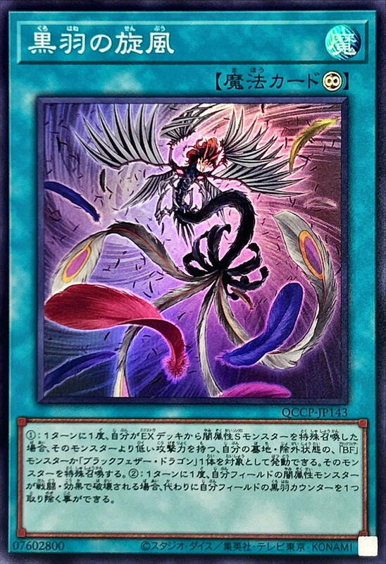 黑羽的旋風