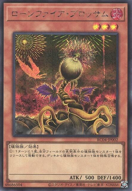 孤燃花