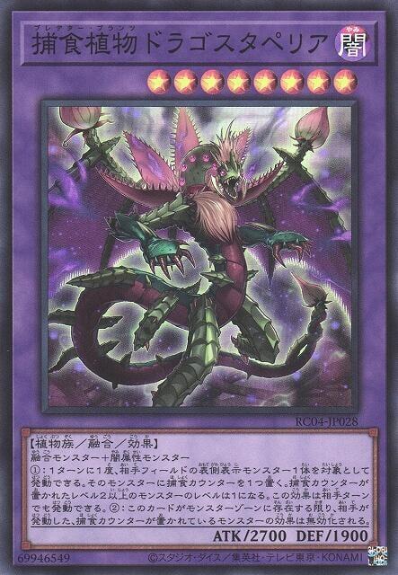 捕食植物魔星花龍