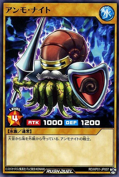 菊石騎士