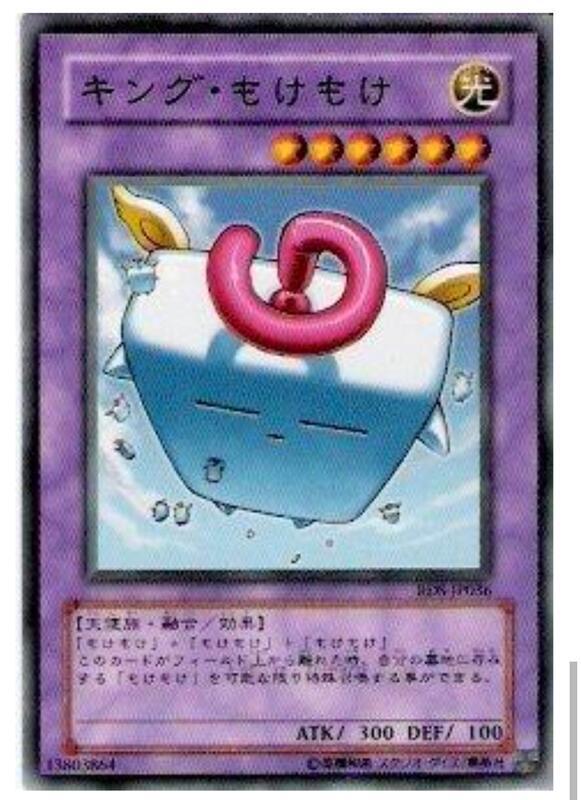 王毛毛
