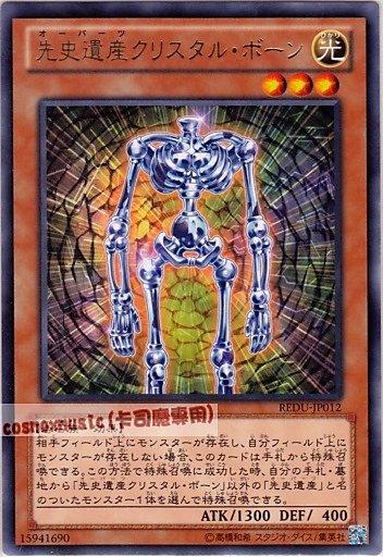 先史遺產水晶骨架