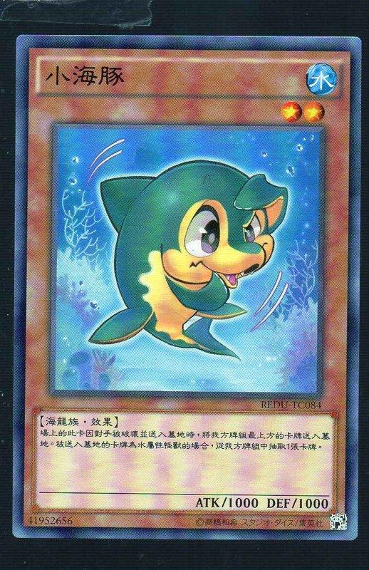 尋海豚