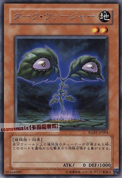 黑暗葉綠體