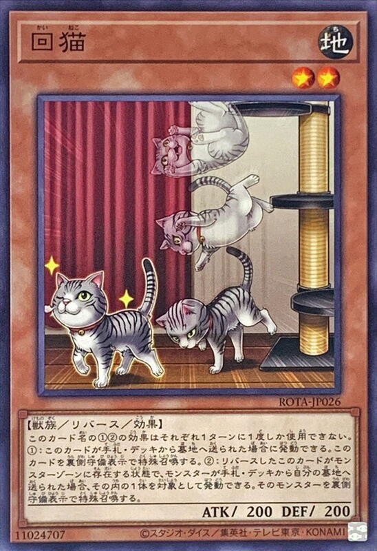 回貓