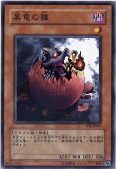黑龍的雛