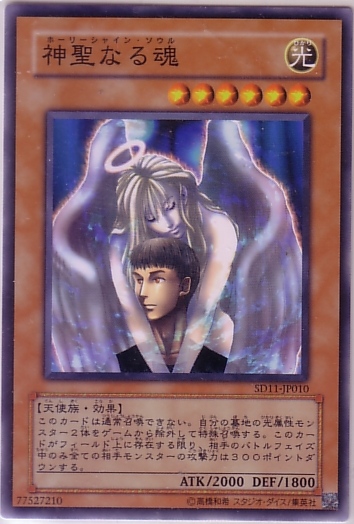 神聖之魂