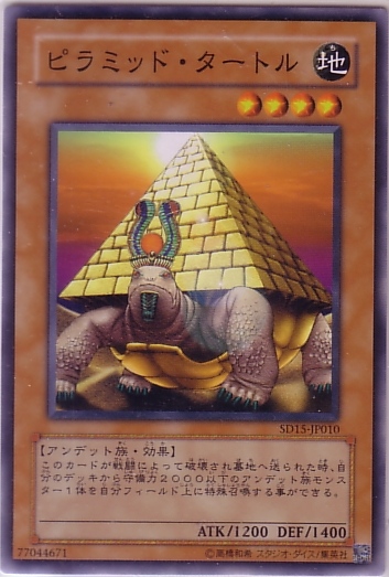 金字塔龜