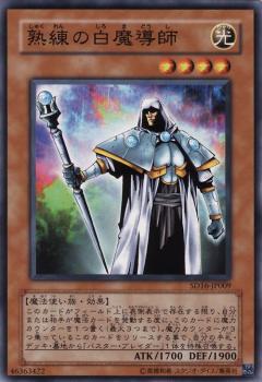 熟練的白魔導師