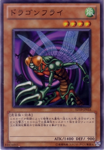 龍蠅