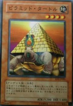 金字塔龜