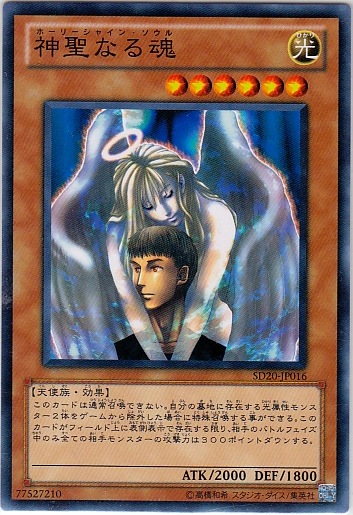 神聖之魂