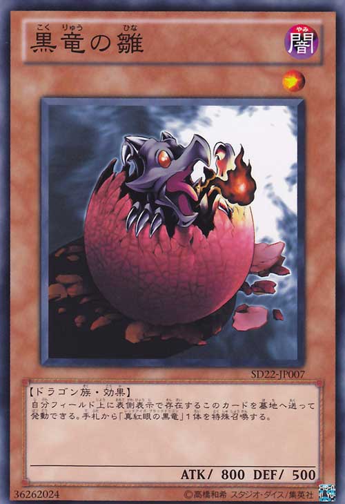 黑龍的雛