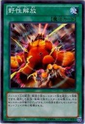 野性解放