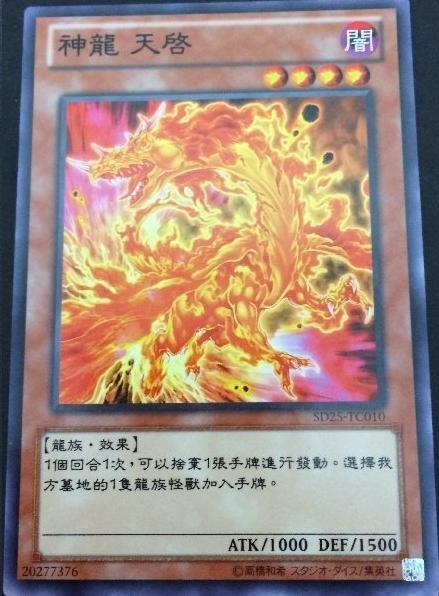 神龍天啟