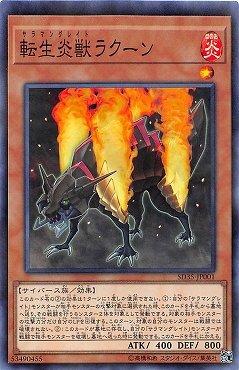 轉生炎獸浣熊