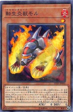 轉生炎獸鼴鼠