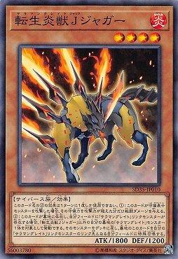 轉生炎獸J美洲豹
