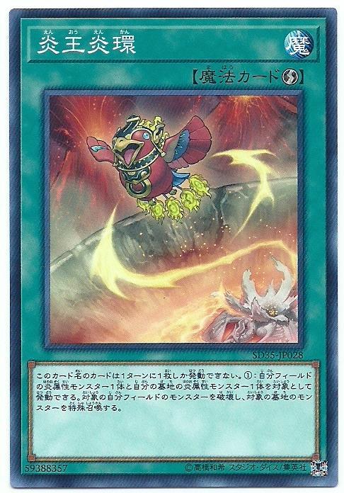 炎王炎環