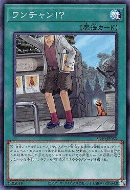 唯一機會！？