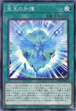 寶玉的加護