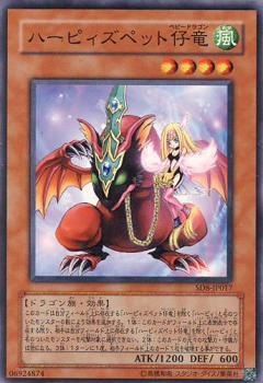 神鷹寵物幼龍