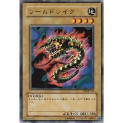 公鴨蠕蟲
