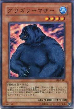 母灰熊