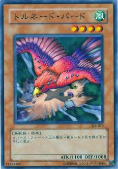 龍捲風鳥