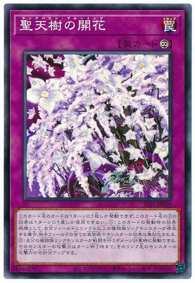 聖天樹之開花