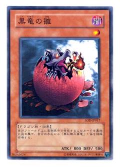 黑龍的雛