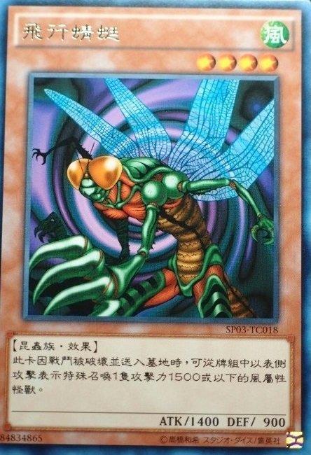 龍蠅