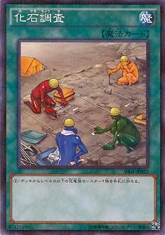 化石調查