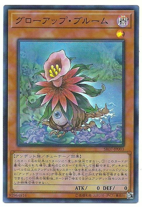 成長花朵