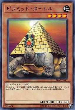 金字塔龜