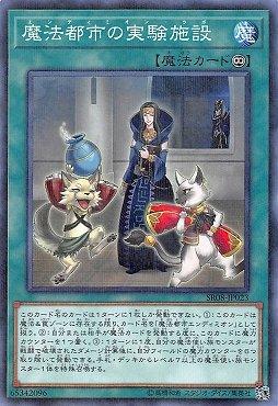 魔法都市的實驗設施【安迪米翁實驗室】