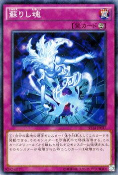 蘇醒之魂