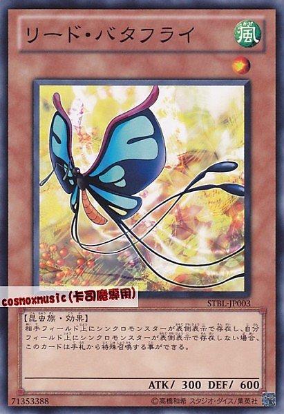 領導蝴蝶