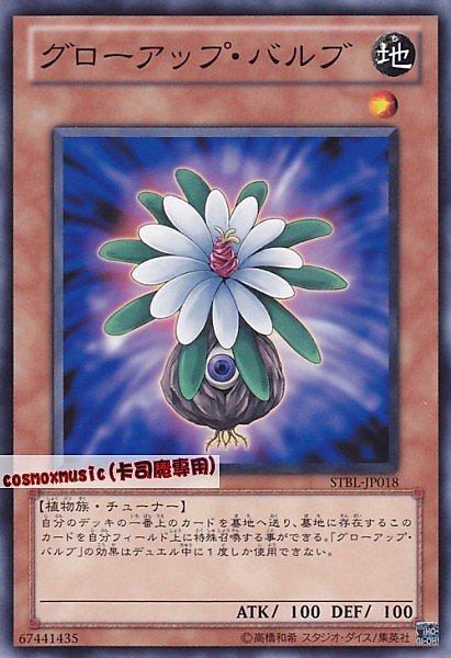 成長球莖